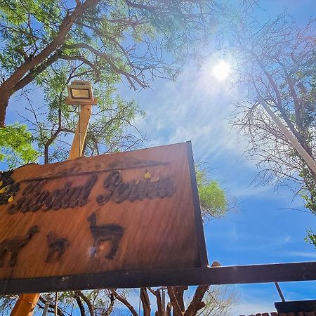 Hostal Perita Σαν Πέδρο ντε Ατακάμα Εξωτερικό φωτογραφία